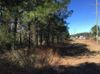 I-12 Service Rd. photo